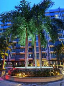 una palmera delante de un edificio en Affordable Hotels Condotel Here Naia 1 ,2,3 And 4, en Manila 16 fotos más