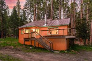 a house in the middle of a forest at Cub House- Remodeled cabin INSIDE Yosemite with new hot tub and more in North Wawona
