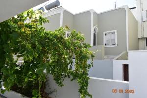 Το κτήριο όπου στεγάζεται  το ξενοδοχείο