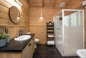 a bathroom with a shower and a sink and a toilet at Cosy Romantic Lodge, Perfect Couples Getaway in Sassafras