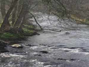 Paesaggio naturale nelle vicinanze della casa vacanze