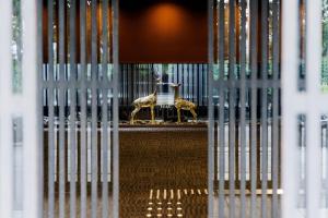 Fotografie z fotogalerie ubytování KAMENOI HOTEL Nara v destinaci Nara + 37 fotografií