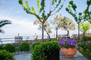 un jardin avec des fleurs violettes dans un pot dans l'établissement Guesthouse Enastron, à Chorefto