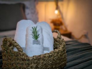 ein Korb mit Handtüchern und einer Pflanze auf dem Bett in der Unterkunft Casa de Campo Capixaba- Natureza, Conforto e Aconchego in Santa Teresa