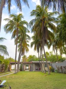 una casa con palmeras delante en Casa DUNA 4, en La Libertad