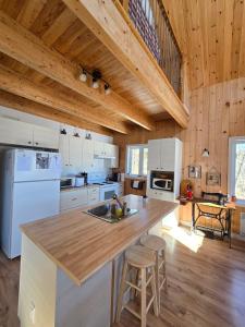 a kitchen with white appliances and a wooden ceiling at La Cabane du Couturier in Sainte-ThÃ¨cle +18 photos