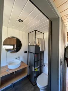 a bathroom with a sink and a toilet at Malalcahuello Tiny House in Curacautín