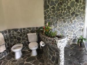 a bathroom with a toilet and a plant at Hacienda las Nubes in Turrialba +91 photos