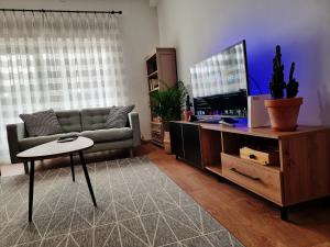 A television and/or entertainment centre at Apartamento céntrico de 3 dormitorios Még 10 kép
