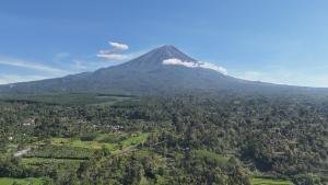 Landskap semula jadi dekat dengan lodge
