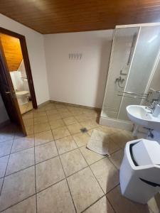 a bathroom with a shower and a toilet and a sink at Fészek apartmanok in Tiszafüred