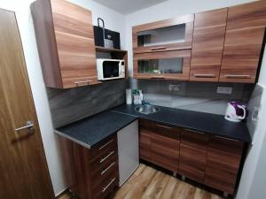 哈拉霍夫Rádi Vás ubytujem na pensionu MEJTO的相册照片 更多64张照片