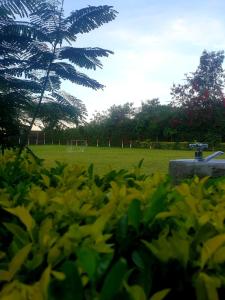 Taman di luar Eden Park Lounge