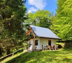 卢托维斯卡Chatka Pod Trohańcem的树林里的一间小屋，里面有一张桌子和几把椅子