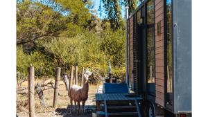 FlowerdaleAlpaca Tiny House with Vineyard Lakeside by Tiny Away的相册照片