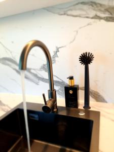 a kitchen sink with a faucet and a counter top at La Croisette Côté Lac in Créteil +32 photos