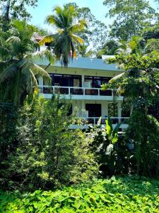 Zahrada ubytování CoCoSuRf House, Luxury among palms