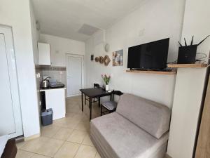 a living room with a couch and a table at Jovanovic Apartment in Tivat