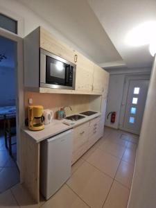 a small kitchen with a sink and a microwave at Čebelja Zibka in Ljubljana