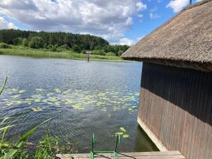 a view of a pond with a thatch roof at Landhaus Amalie in Malchow