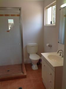 a bathroom with a toilet and a shower and a sink at Lake Barra Cottages in Downsfield