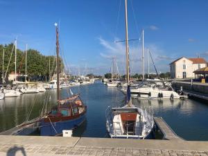 a group of boats docked in a harbor at Le petit chai "classé de tourisme 3 étoiles" hyper centre La Tremblade in La Tremblade
