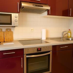 a kitchen with a stove and a sink at SUNNYHOME Monteurwohnungen und Apartments nahe Regensburg in Nittendorf