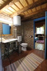 a bathroom with a sink and a toilet in a room at Domeniul Trei Stejari in Mediaş +253 photos