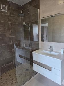 a bathroom with a sink and a shower at le cocon sarladais, appartement centre ville avec balcon et parking privé in Sarlat-la-Canéda +3 photos