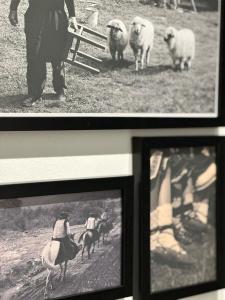 Afbeelding uit fotogalerij van Casa Tisaru in Lepşa