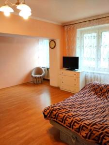 Μια τηλεόραση ή/και κέντρο ψυχαγωγίας στο Apartment in the center +1 φωτογραφίες