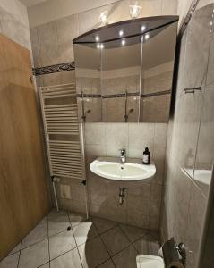 a bathroom with a sink and a toilet and a mirror at Ostseekoje im Haus zwischen den Wassern in Behrensdorf