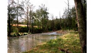 Kép Rivers Edge Cabin by Tiny Away szállásáról Barringtonban a galériában