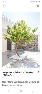 a picture of a tree in front of a building at Kamilos apartments in Monastirákion