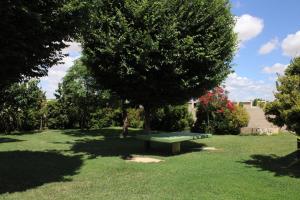 Ogród w obiekcie Casa Rural La Alcazaba