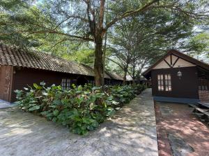 BeranangにあるFresia Villa & Campingの建物前の植物列