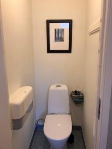 a bathroom with a toilet and a picture on the wall at Klippertorp in Enköping