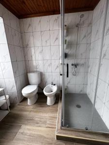 a bathroom with a shower and a toilet and a sink at Casa do Domingos in Cais do Pico +5 photos