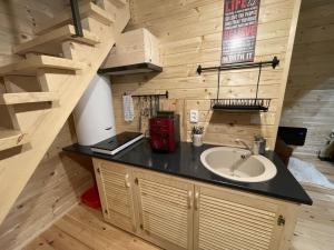 a bathroom with a sink in a log cabin at Casa Nordica - La noi la munte in Mătişeşti