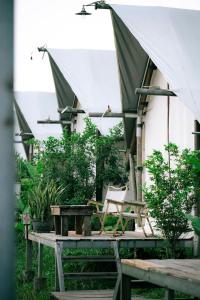 Fotografie z fotogalerie ubytování Bana Rita Glamping Farm v destinaci Bình Thái (1)