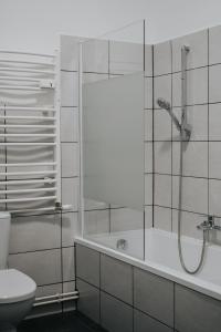 a bathroom with a shower and a tub and a toilet at Ferienwohnungen "Hermann & Lucy" in Bad Muskau +17 photos