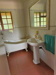 a bathroom with a tub and a sink and a mirror at African Shore Guesthouse in Denysville +24 photos