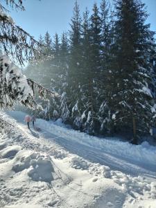 Apartman Teodora Uvac during the winter