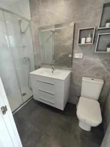 a bathroom with a toilet and a sink and a shower at Casa Nentis in Mucientes