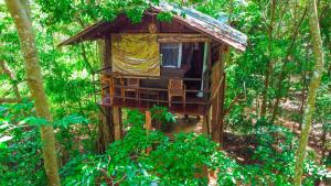 Garden sa labas ng Jungle Host Hostel And Tree House