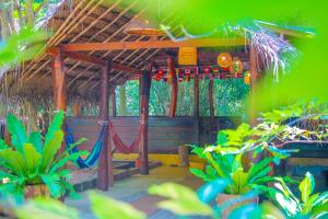 Garden sa labas ng Jungle Host Hostel And Tree House