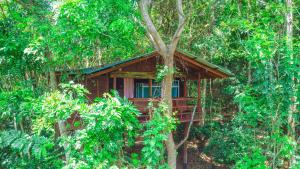Garden sa labas ng Jungle Host Hostel And Tree House