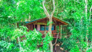 Garden sa labas ng Jungle Host Hostel And Tree House