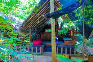 Garden sa labas ng Jungle Host Hostel And Tree House