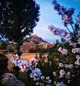 Gallery image of Terra Rural Apartment - Casillas Valle de Ayora in Jalance